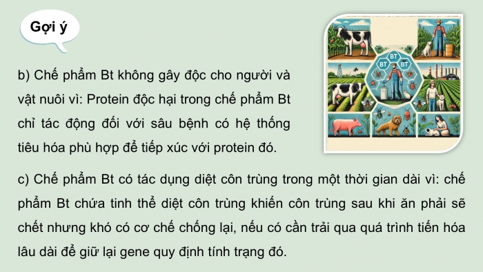 Giáo án điện tử chuyên đề Sinh học 12 cánh diều Ôn tập CĐ 2