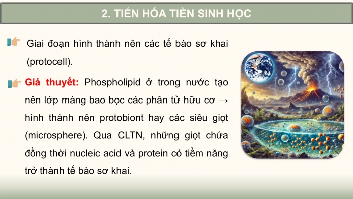 Giáo án điện tử Sinh học 12 kết nối Bài 22: Tiến hoá lớn và quá trình phát sinh chủng loại