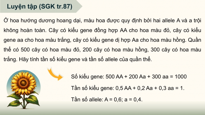 Giáo án điện tử Sinh học 12 chân trời Bài 13: Di truyền quần thể