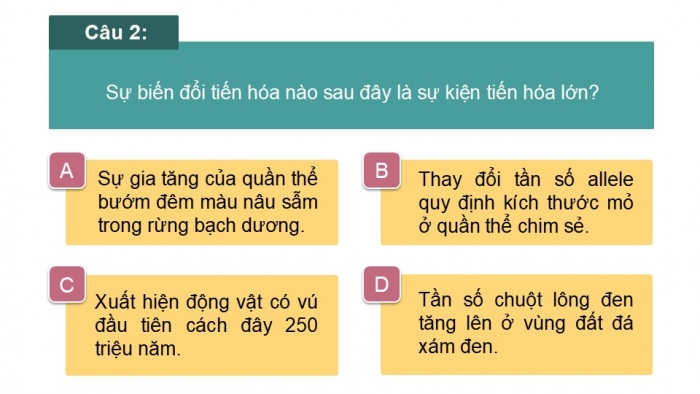 Giáo án điện tử Sinh học 12 chân trời Bài Ôn tập Chương 4