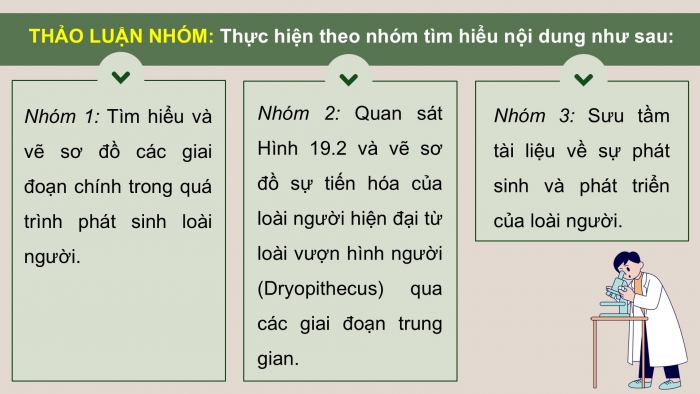 Giáo án điện tử Sinh học 12 chân trời Bài 19: Sự phát triển sự sống