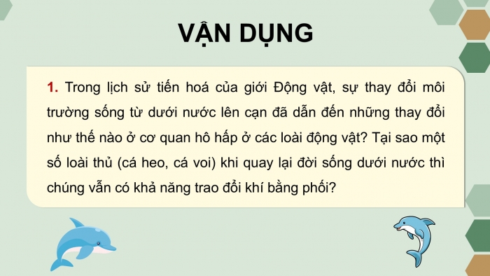 Giáo án điện tử Sinh học 12 chân trời Bài Ôn tập Chương 5