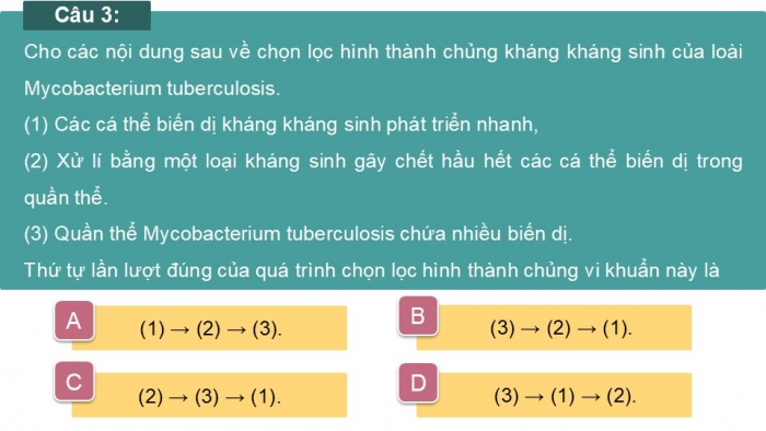 Giáo án điện tử Sinh học 12 chân trời Bài Ôn tập Chương 4