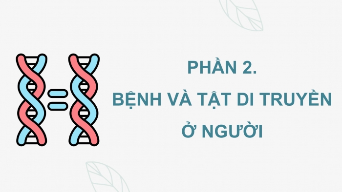 Giáo án điện tử KHTN 9 kết nối - Phân môn Sinh học Bài 47: Di truyền học với con người