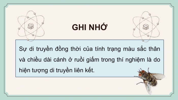 Giáo án điện tử KHTN 9 cánh diều - Phân môn Sinh học Bài 39: Di truyền liên kết và cơ chế xác định giới tính