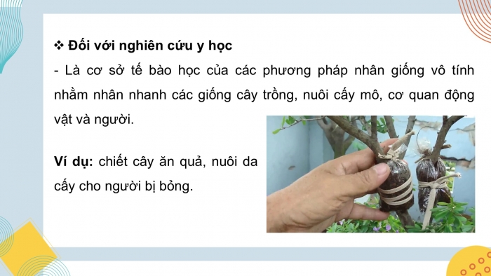 Giáo án điện tử KHTN 9 chân trời - Phân môn Sinh học Bài 43: Di truyền nhiễm sắc thể