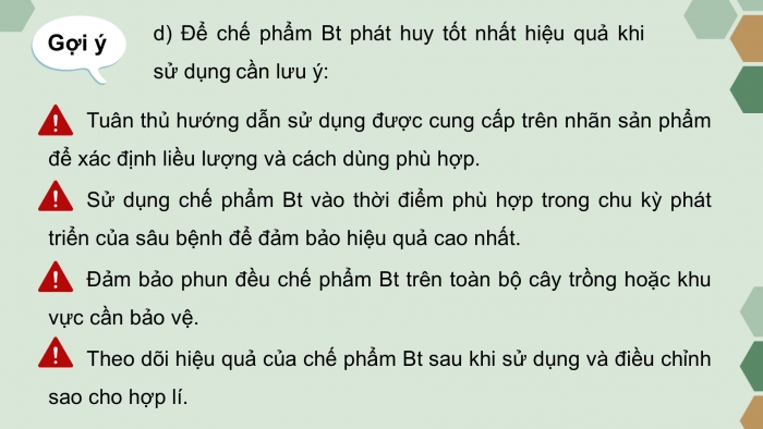 Giáo án điện tử chuyên đề Sinh học 12 cánh diều Ôn tập CĐ 2