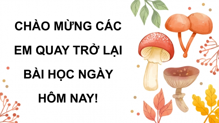 Giáo án điện tử chuyên đề Sinh học 12 cánh diều Bài 7: Biện pháp kiểm soát sinh học