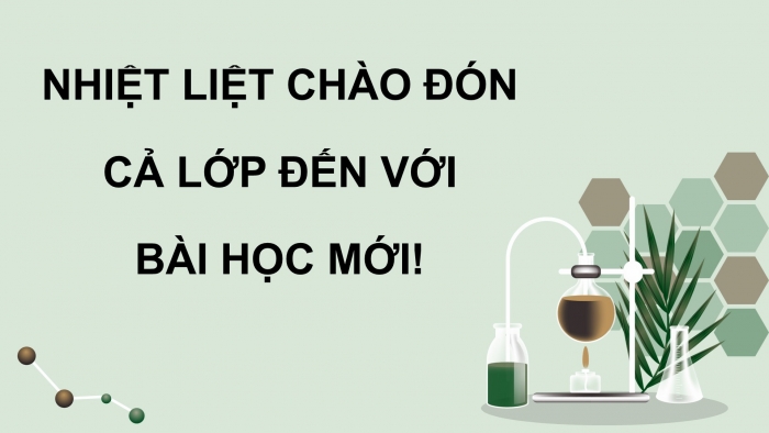 Giáo án điện tử chuyên đề Sinh học 12 cánh diều Ôn tập CĐ 2