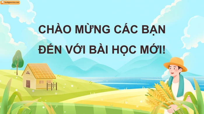 Giáo án điện tử Mĩ thuật 5 kết nối Chủ đề 6: Cảnh sắc quê hương