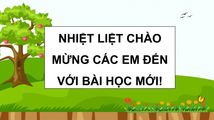 Giáo án điện tử Khoa học 5 chân trời Bài 17: Ôn tập chủ đề Thực vật và động vật