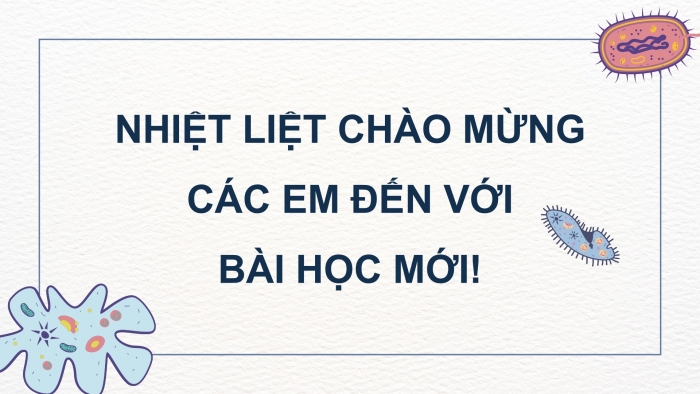 Giáo án điện tử Khoa học 5 chân trời Bài 21: Ôn tập chủ đề Vi khuẩn