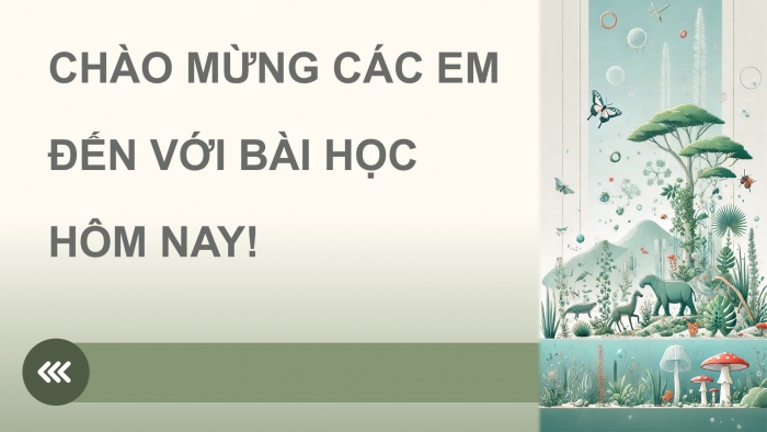 Giáo án điện tử Sinh học 12 kết nối Bài 22: Tiến hoá lớn và quá trình phát sinh chủng loại