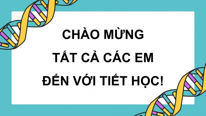 Giáo án điện tử Sinh học 12 chân trời Bài 14: Di truyền học người