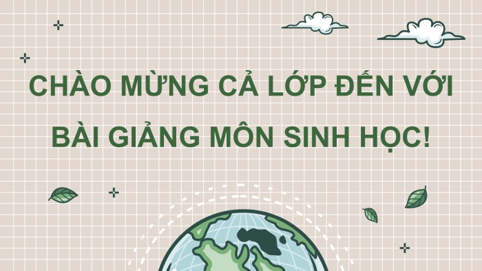 Giáo án điện tử Sinh học 12 chân trời Bài 19: Sự phát triển sự sống