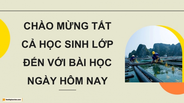 Giáo án điện tử Công nghệ 12 Lâm nghiệp Thủy sản Cánh diều Bài 17: Chế biến và bảo quản thức ăn thủy sản