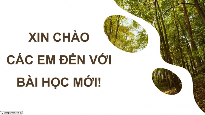 Giáo án điện tử Địa lí 9 chân trời Bài 18: Thực hành Vấn đề môi trường trong phát triển kinh tế - xã hội ở Tây Nguyên