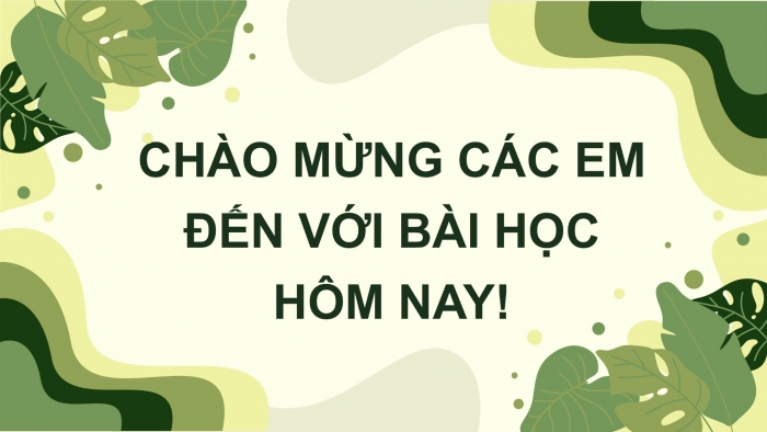 Giáo án PPT dạy thêm Tiếng Việt 5 chân trời bài 2: Bài đọc Mặn mòi vị muối Bạc Liêu. Bài văn kể chuyện sáng tạo