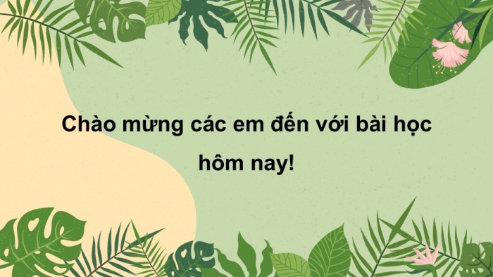 Giáo án điện tử tiếng Việt 2 kết nối Bài 7: Cây xấu hổ