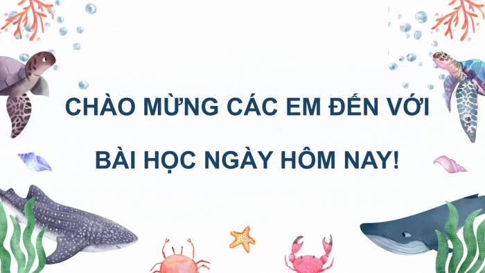 Giáo án điện tử Tiếng Việt 2 cánh diều Bài 14: Nghe – trao đổi về nội dung bài hát Ba ngọn nến lung linh