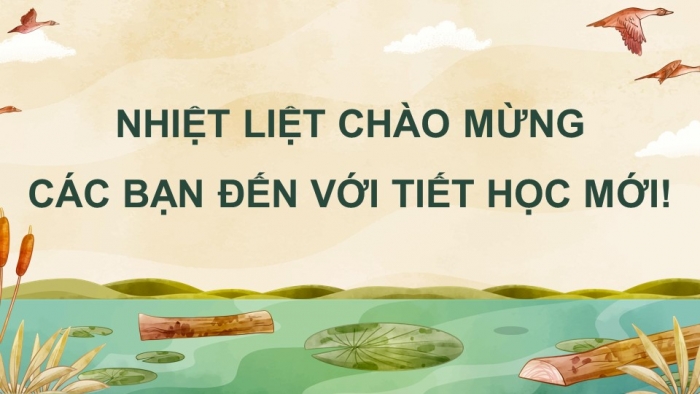 Giáo án điện tử Địa lí 12 chân trời Bài 19: Thực hành Vẽ biểu đồ, nhận xét và giải thích tình hình phát triển ngành công nghiệp