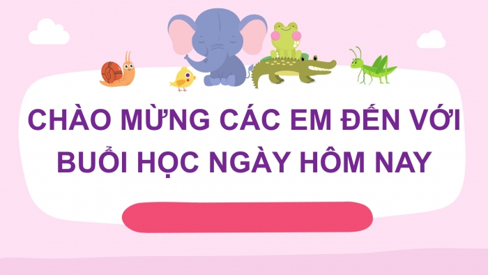 Giáo án điện tử Tiếng Việt 2 kết nối Bài 24: Nghe – viết Chiếc rễ đa tròn, Viết hoa tên người, Phân biệt iu/ưu, im/iêm