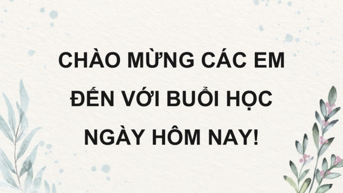 Giáo án điện tử chuyên đề Công nghệ 12 Lâm nghiệp Thuỷ sản Cánh diều Ôn tập CĐ 2