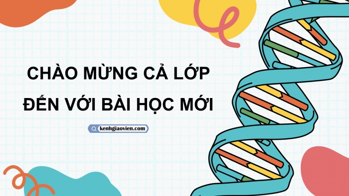 Giáo án điện tử KHTN 9 chân trời - Phân môn Sinh học Bài 43: Di truyền nhiễm sắc thể