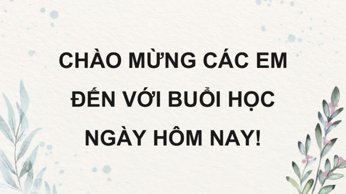 Giáo án điện tử Công nghệ 12 Lâm nghiệp - Thủy sản Kết nối Bài ôn tập chương VI