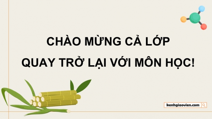 Giáo án điện tử KHTN 9 chân trời - Phân môn Hoá học Bài 27: Glucose và saccharose