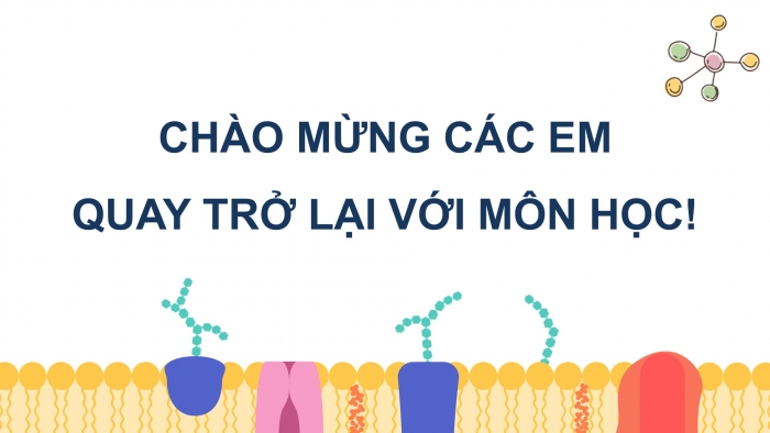 Giáo án điện tử KHTN 9 chân trời - Phân môn Hoá học Bài 29: Protein