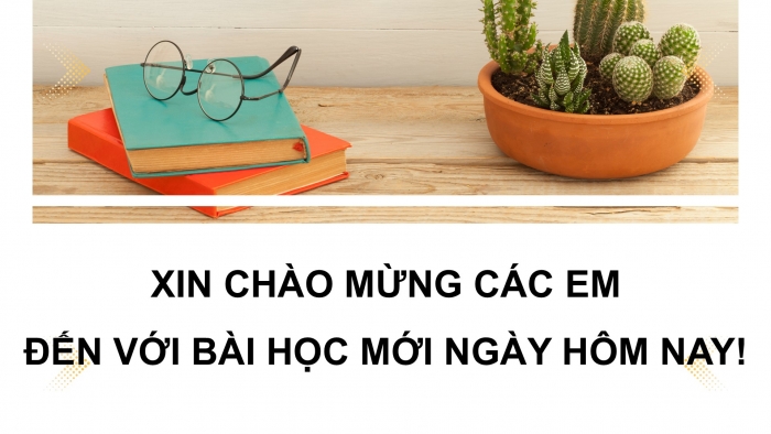 Giáo án điện tử KHTN 9 kết nối - Phân môn Sinh học Bài 45: Di truyền liên kết