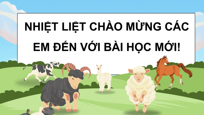 Giáo án điện tử Khoa học 5 kết nối Bài 16: Vòng đời và sự phát triển của động vật