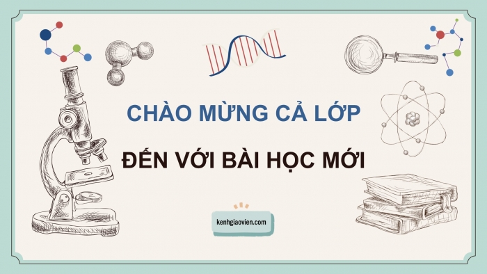 Giáo án điện tử KHTN 9 cánh diều - Phân môn Sinh học Bài 39: Di truyền liên kết và cơ chế xác định giới tính