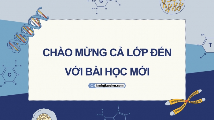 Giáo án điện tử KHTN 9 cánh diều - Phân môn Sinh học Bài 41: Ứng dụng công nghệ di truyền vào đời sống