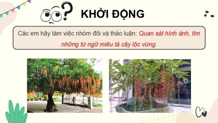 Giáo án điện tử Tiếng Việt 5 chân trời Bài 7: Lộc vừng mùa xuân