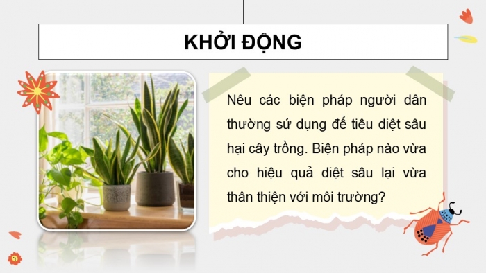 Giáo án điện tử chuyên đề Sinh học 12 cánh diều Bài 5: Khái niệm và vai trò của kiểm soát sinh học