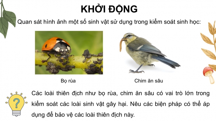 Giáo án điện tử chuyên đề Sinh học 12 cánh diều Bài 7: Biện pháp kiểm soát sinh học