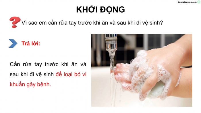 Giáo án điện tử Khoa học 5 chân trời Bài 18: Vi khuẩn quanh ta