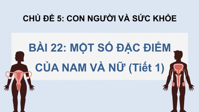 Giáo án điện tử Khoa học 5 chân trời Bài 22: Một số đặc điểm của nam và nữ