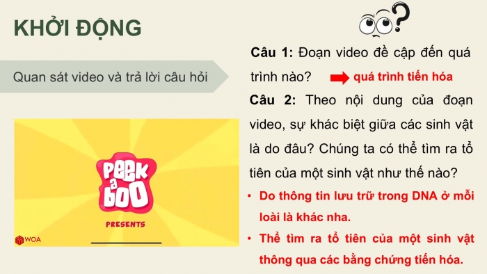 Giáo án điện tử Sinh học 12 kết nối Bài 19: Các bằng chứng tiến hoá