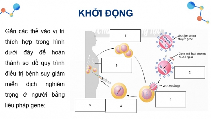 Giáo án điện tử Sinh học 12 chân trời Bài Ôn tập Chương 3