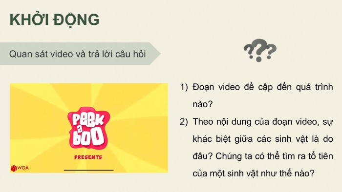 Giáo án điện tử Sinh học 12 chân trời Bài 15: Các bằng chứng tiến hoá