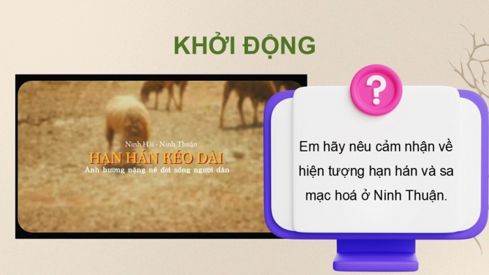 Giáo án điện tử Địa lí 9 cánh diều Bài 14: Thực hành Phân tích ảnh hưởng của nạn hạn hán và sa mạc hóa ở vùng khô hạn Ninh Thuận - Bình Thuận