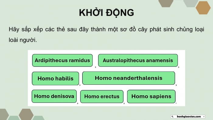 Giáo án điện tử Sinh học 12 chân trời Bài Ôn tập Chương 5