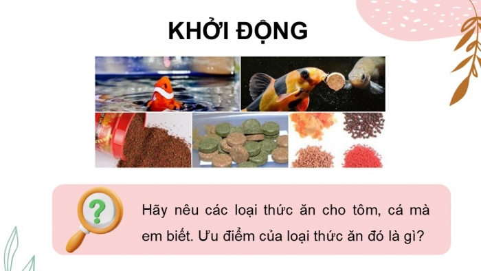 Giáo án điện tử Công nghệ 12 Lâm nghiệp Thủy sản Cánh diều Bài 16: Thành phần dinh dưỡng của thức ăn thủy sản