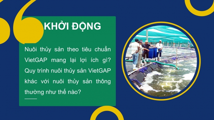 Giáo án điện tử Công nghệ 12 Lâm nghiệp Thủy sản Cánh diều Bài 19: Quy trình nuôi thủy sản theo tiêu chuẩn VietGAP