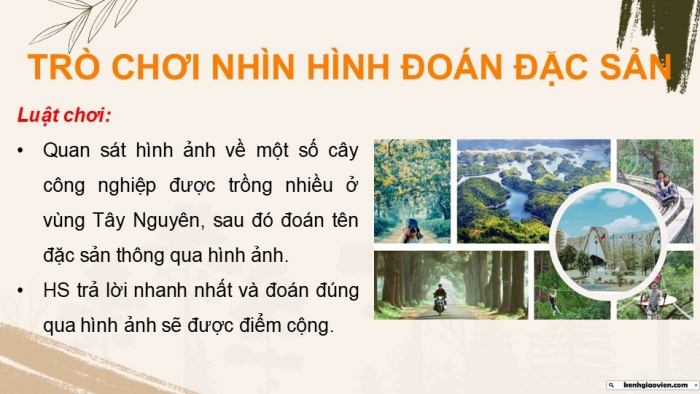 Giáo án điện tử Địa lí 9 chân trời Bài 17: Vùng Tây Nguyên