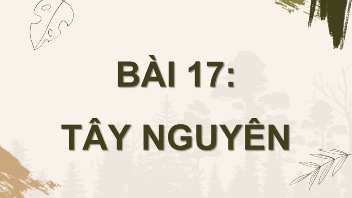 Giáo án điện tử Địa lí 9 chân trời Bài 17: Vùng Tây Nguyên (P2)