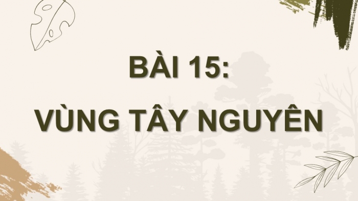 Giáo án điện tử Địa lí 9 cánh diều Bài 15: Vùng Tây Nguyên (P2)